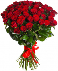Розы Россия красные