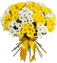 Кустовая хризантема микс №2